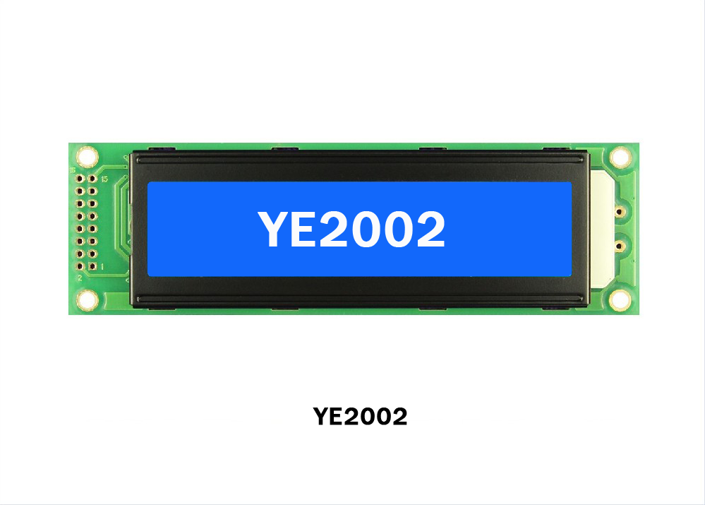 YE2002
