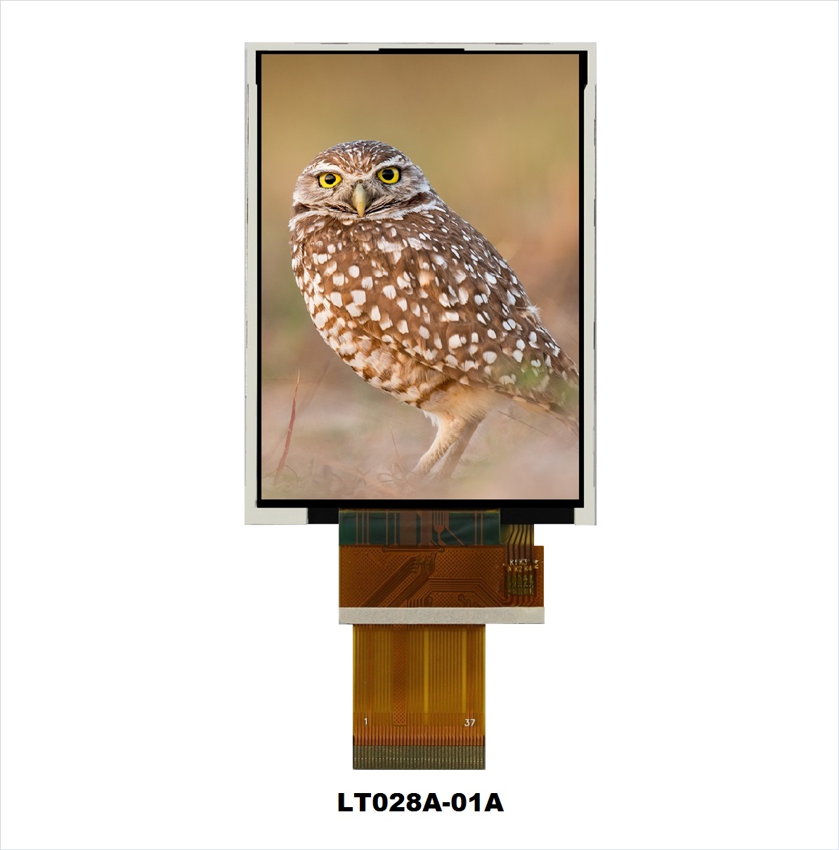 LT028A-01A