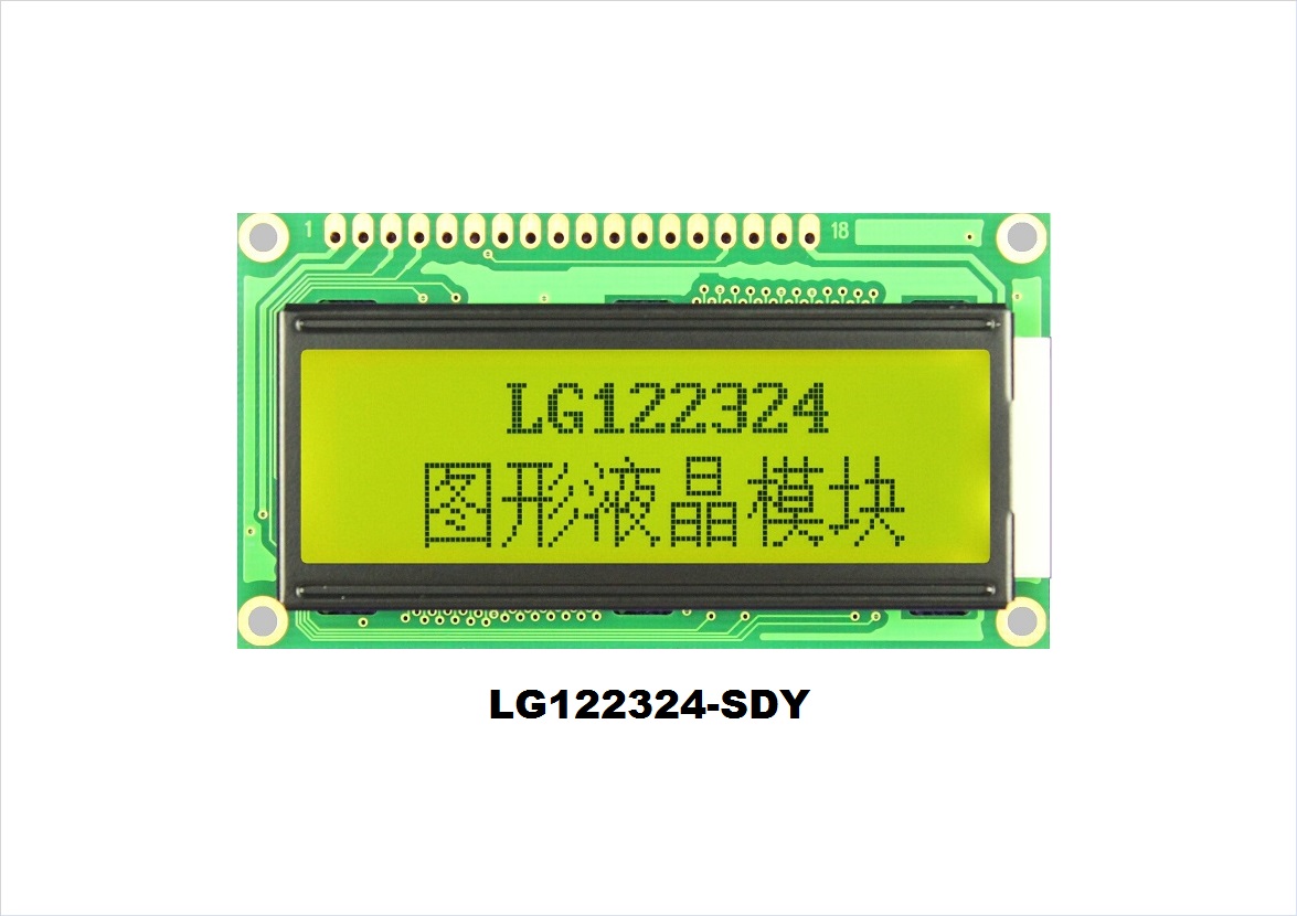 LG122324-DY